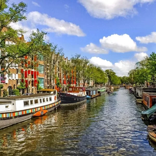 (Tours) - Elevate Your Travel Experience - 28圈