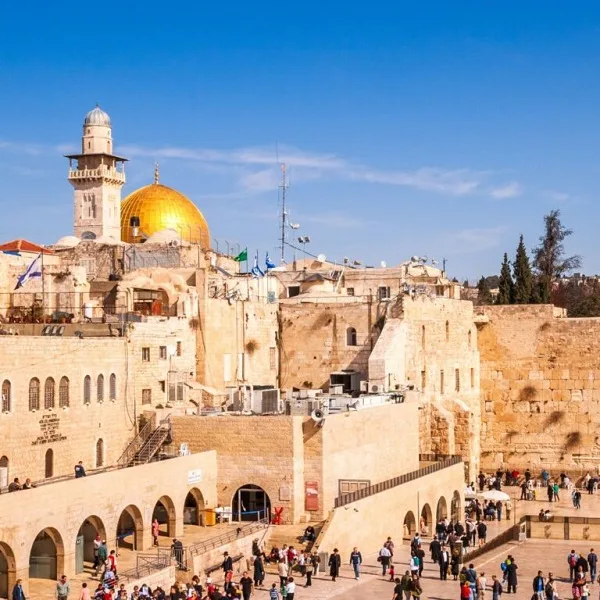 (Tours) - Elevate Your Travel Experience - 28圈