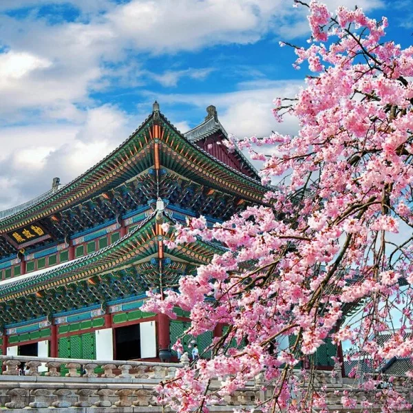 (Tours) - Elevate Your Travel Experience - 28圈